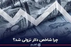 چرا شاخص دلار نزولی شد؟