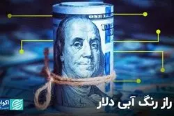 6 راز رنگ آبی دلار