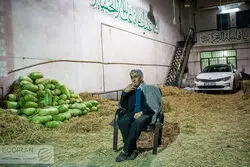 میوه ارزان نشد