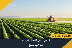 انقلاب سبز