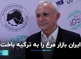 ایران بازار مرغ را به ترکیه باخت