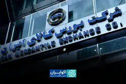بورس کالا؛ یک قدم جلوتر از کدال