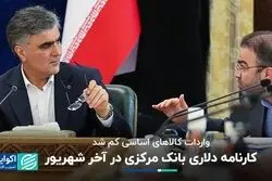 نگاهی به کارنامه دلاری بانک مرکزی