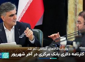 نگاهی به کارنامه دلاری بانک مرکزی