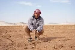 نقش فزاینده فناوری‌های دیجیتال در تاب‌آوری غذایی