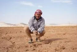 نقش فزاینده فناوری‌های دیجیتال در تاب‌آوری غذایی