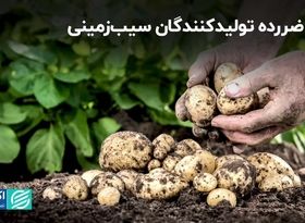 سال ضررده تولیدکنندگان سیب‌زمینی/ بازی دو سر باخت محصولات جالیزی