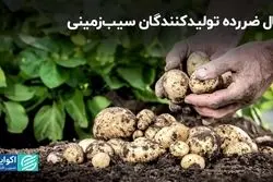 سال ضررده تولیدکنندگان سیب‌زمینی/ بازی دو سر باخت محصولات جالیزی