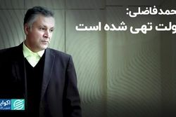 محمد فاضلی: دولت تهی شده است