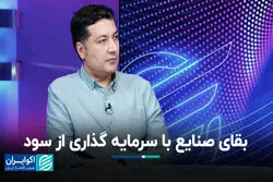 بقای صنایع با سرمایه گذاری از سود