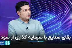 بقای صنایع با سرمایه گذاری از سود