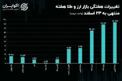 نیم‌سکه و ربع سکه پریدند / دلار تهران رنج شد