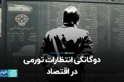 دوگانگی انتظارات تورمی در اقتصاد