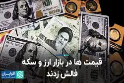 قیمت‌ها در بازار ارز و سکه فالش زدند 