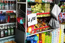 روش جدید دولت برای دسته‌بندی اقتصادی خانوارها/ کالابرگ چه کسانی حذف نمی‌شود؟