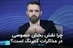 چرا نقش بخش خصوصی در مذاکرات کم‌رنگ است؟