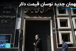 متهمان جدید نوسان قیمت دلار