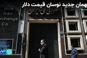 متهمان جدید نوسان قیمت دلار