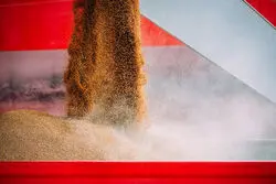 رسوب بیش از 3.7 میلیون تن کالای اساسی در گمرکات