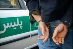 دستگیری فروشنده غیرقانونی سلاح در تهران؛ کشف بیش از ۶۰۰ فشنگ