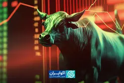 پیروزی بورس در کورس سوددهی
