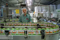 غذای ایرانی در راه ماند