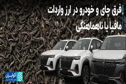 فرق چای و خودرو در ارز واردات؛ مافیا یا ناهماهنگی؟