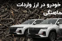 فرق چای و خودرو در ارز واردات؛ مافیا یا ناهماهنگی؟