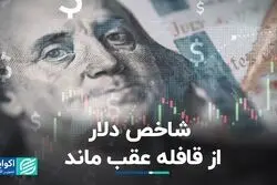 شاخص دلار از قافله عقب ماند