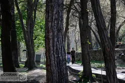 آخرین وضعیت طرح جامع فضای سبز تهران