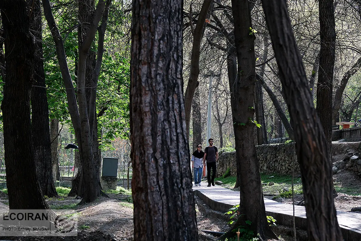 آخرین وضعیت طرح جامع فضای سبز تهران