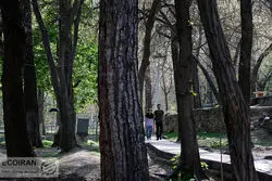 آخرین وضعیت طرح جامع فضای سبز تهران