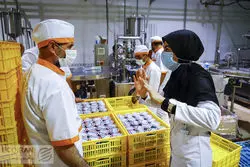 گران شدن چندباره لبنیات؛ افزایش 15 درصدی در راه است