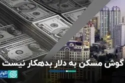 مسکن راهش را از دلار جدا کرده است