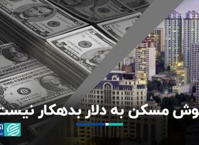 مسکن راهش را از دلار جدا کرده است