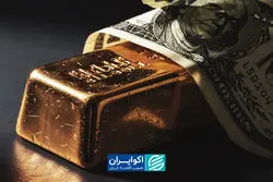 سفر مهم برای طلا و دلار