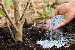  صادرات 50 میلیارد دلار کودهای نیتروژنی از خلیج فارس از سال 2020 تا کنون