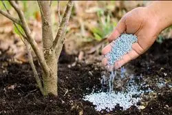  صادرات 50 میلیارد دلار کودهای نیتروژنی از خلیج فارس از سال 2020 تا کنون