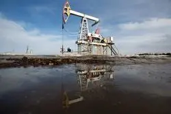 کرملین زیر سایه سقوط درآمد نفت