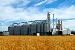 ذخایر جهانی غلات در پایین‌ترین سطح ۱۰ سال اخیر