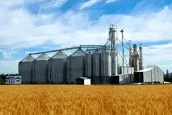 ذخایر جهانی غلات در پایین‌ترین سطح ۱۰ سال اخیر