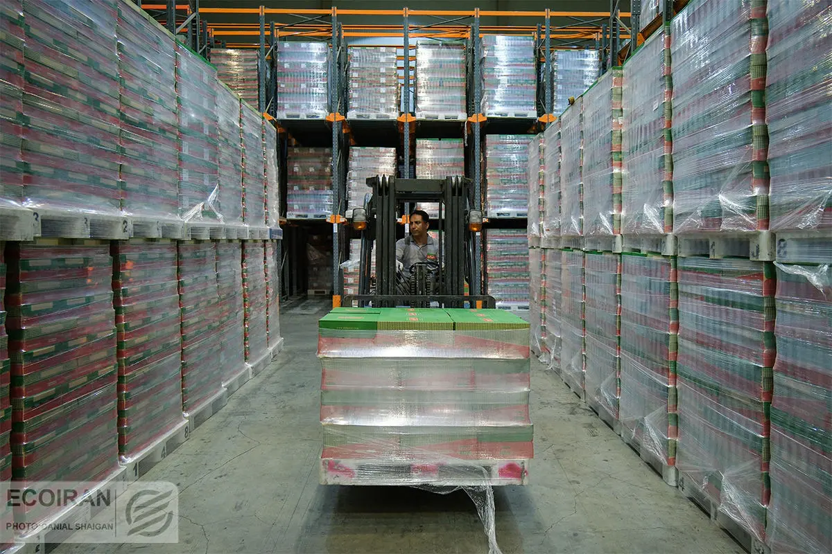 تولیدات صنعتی آذر 1402 کمتر از پارسال؛ خبری از افزایش تولید نیست