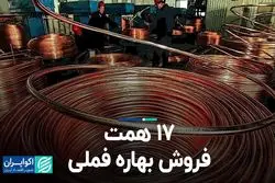 17 همت فروش بهاره فملی