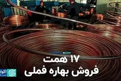 17 همت فروش بهاره فملی