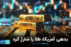 بدهی آمریکا، طلا را شارژ کرد