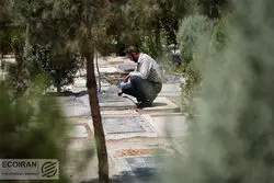 تهران در آستانه احداث سه آرامستان جدید؛ هشدار درباره بحران دفن اموات