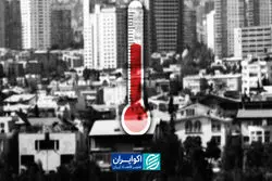 اوراق تسه؛ دماسنج بازار مسکن چه می‌گوید؟