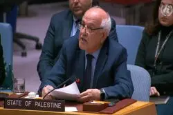 نماینده فلسطین خواستار مقابله عملی با اسرائیل شد