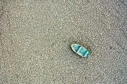 شمارش معکوس جنگ بر سر آب؛ طالبان درباره هامون راست می‌گوید؟