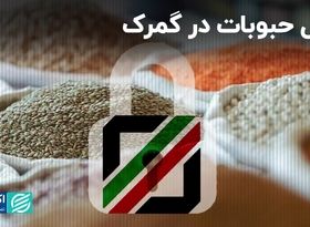 قفل حبوبات در گمرک/ آب تهران در تابستان سهمیه‌بندی می‌شود؟